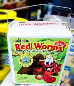 1 LB (1000) Live Red Wiggler Compost Worms