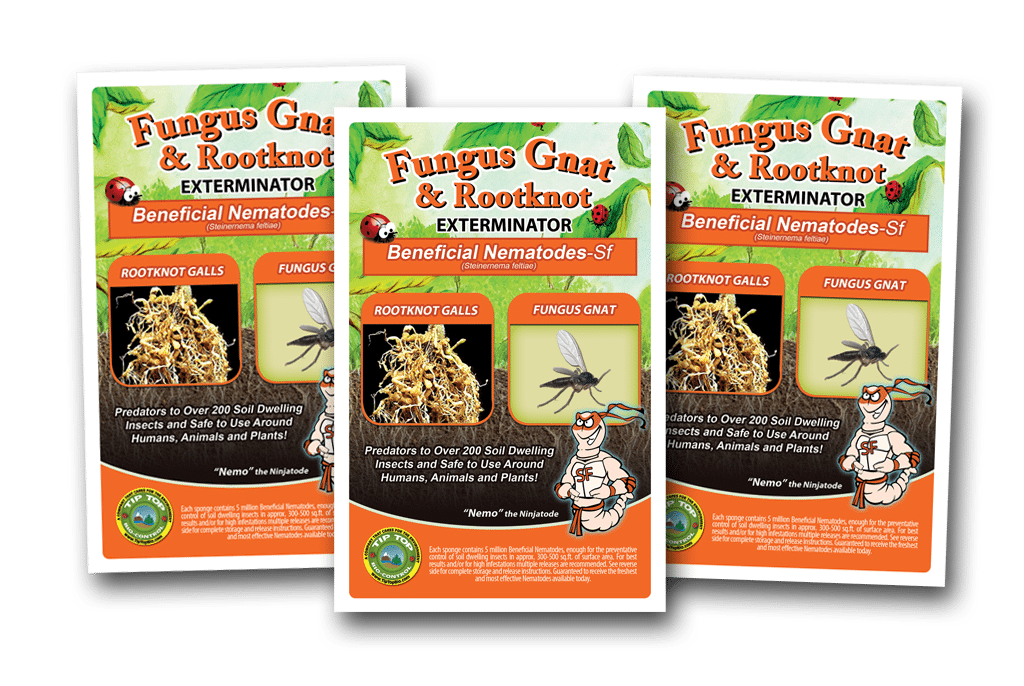Early's Farm and Garden Centre - Pot Popper nematodes are a fast and easy  way to control fungus, gnats, thrips, and other pests! 🌱 Nematodes are  slowly released into the soil for