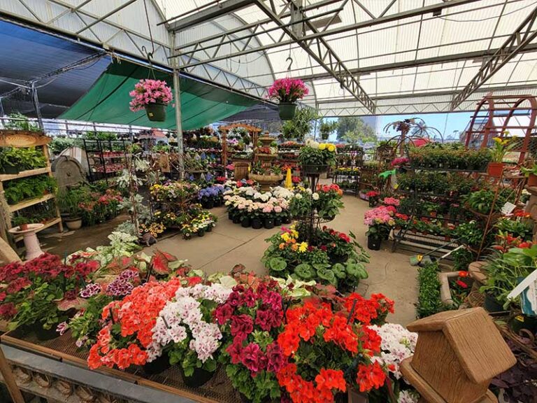 Green Thumb Nursery Canoga Park - Green Thumb Nursery