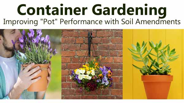 Container Gardening – Improving “Pot” Performance with Soil Amendments ...